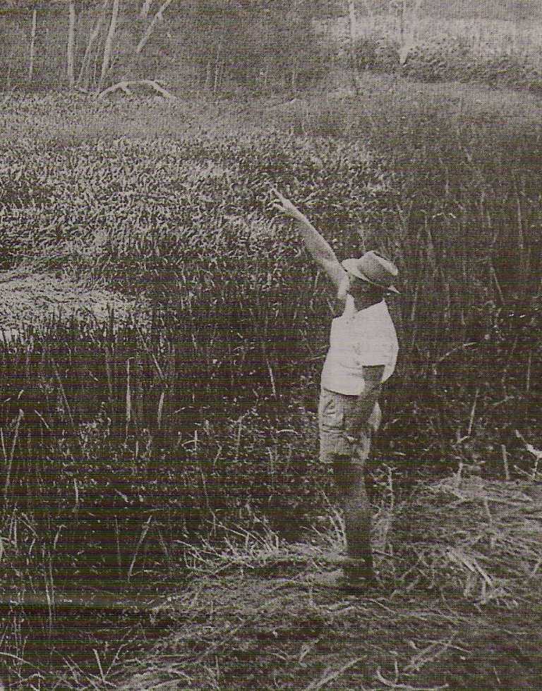 George Pedly The Tully Saucer Nest 1966 – UFO Research Queensland – Australia